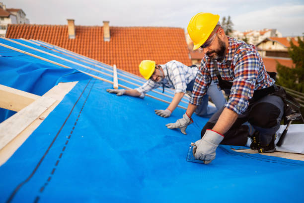 Best Roof Gutter Cleaning  in Suffern, NY